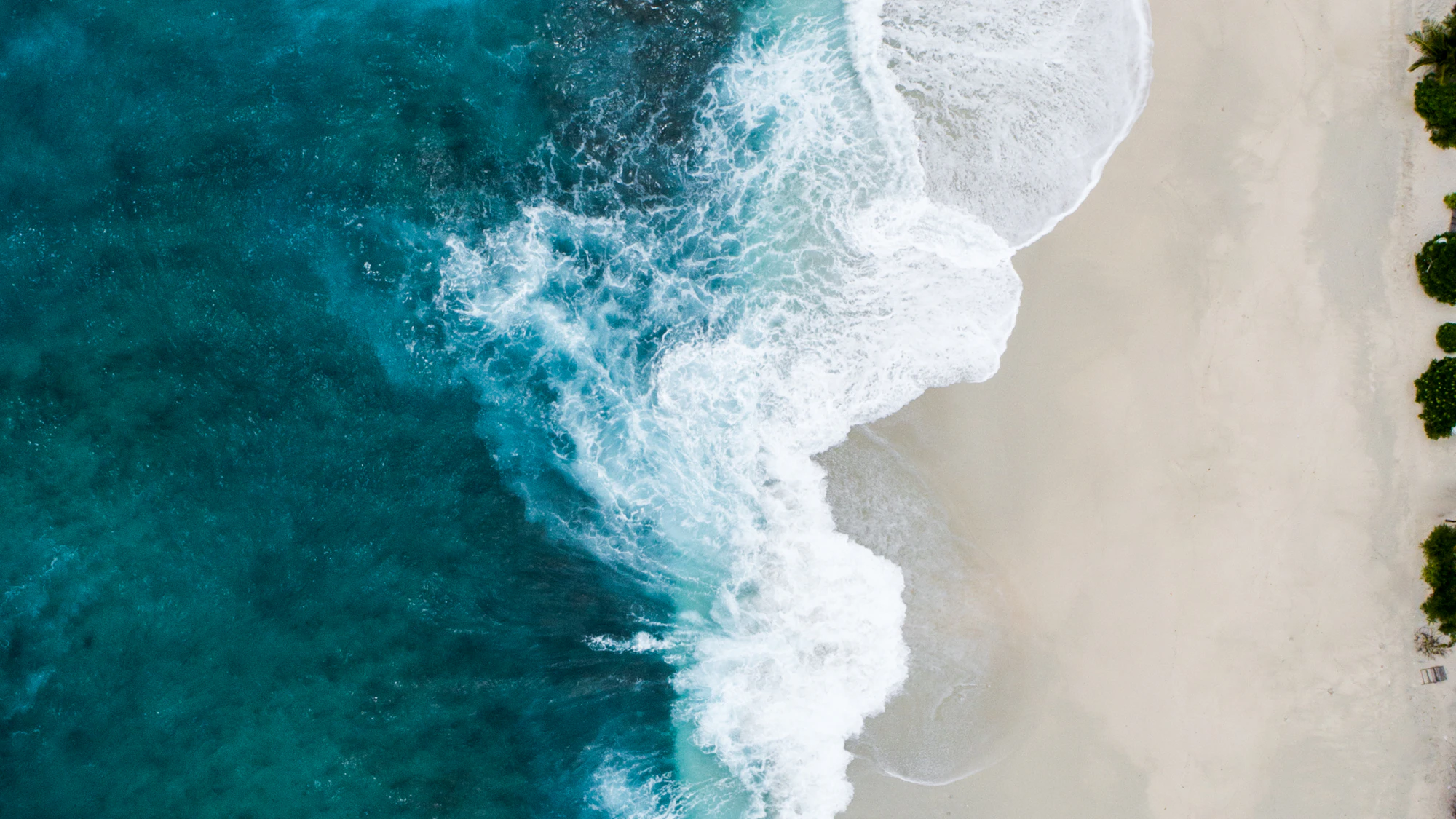 Open water, open calendar
